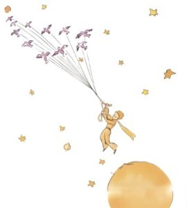 immagine del piccolo principe